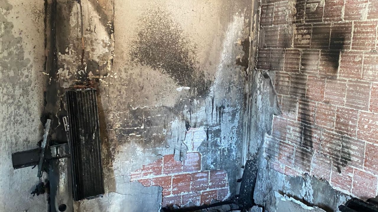 Bodrum'da yangın çıkan evden 2 kedi kurtarıldı