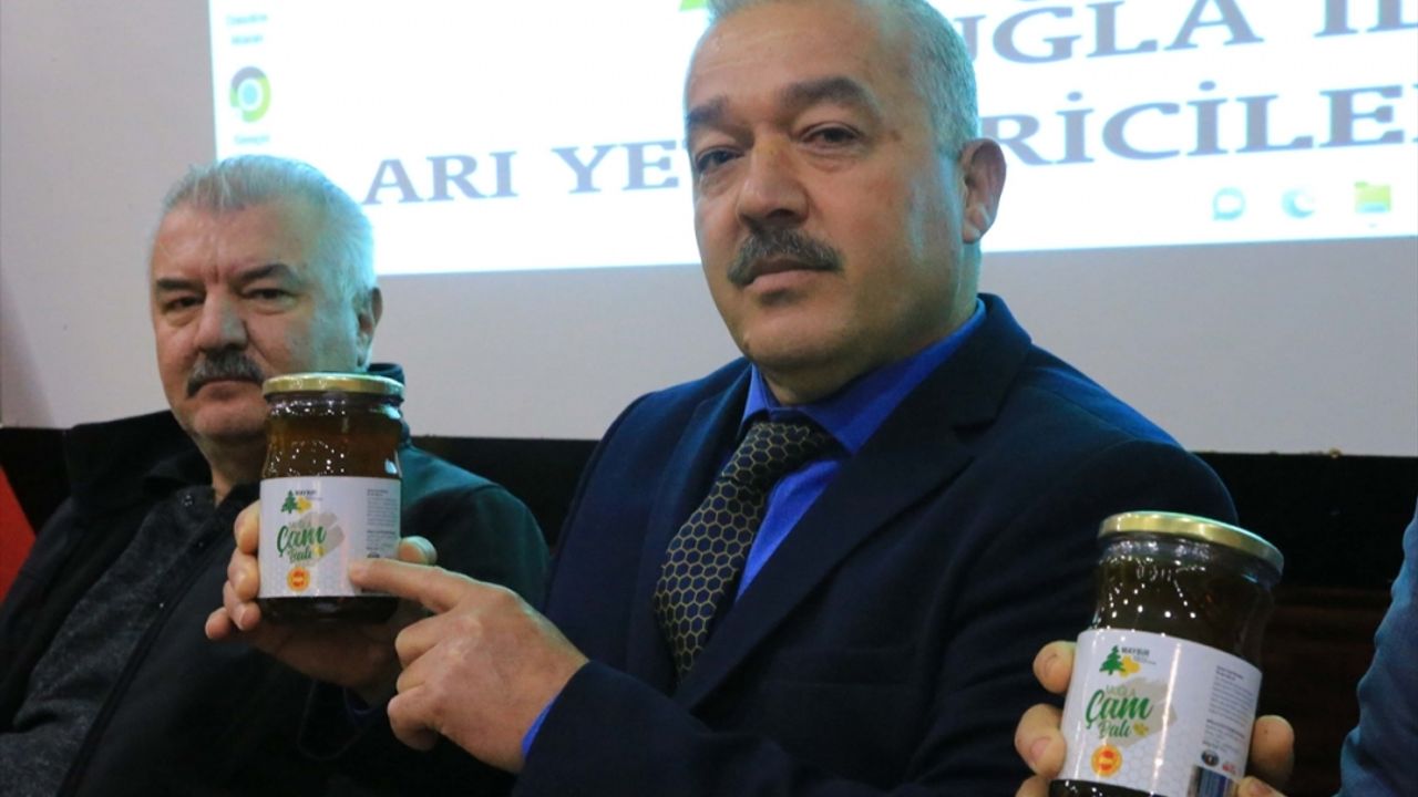 Muğla Arıcılar Birliği Başkanı Türk'ten "sahte bal" uyarısı: