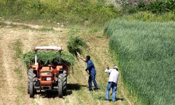 Bursa Mudanya'da çiftçilere ÇKS uyarısı