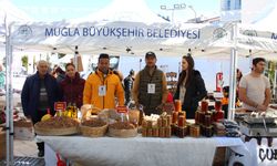 Muğla'da Datça Badem Çiçeği Festivali başladı
