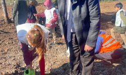 Muğla'da Dünya Ormancılık Günü'nde 30 bin fidan dikildi