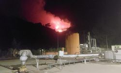 Aydın'da çıkan orman yangınına müdahale ediliyor