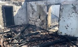Aydın'da iki ilçede çıkan ev yangınları diğer evlere ve ormana sıçradı