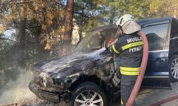 Muğla'da yanan otomobilden ormanlık alana sıçrayan yangın söndürüldü