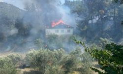 Köyceğiz'de evde başlayan yangın ormana sıçradı