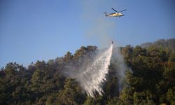 Muğla'daki orman yangınlarına müdahale devam ediyor