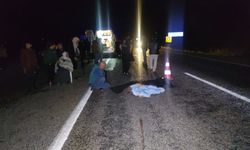 Muğla'da ambulansın çarptığı kadın öldü