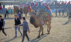 Muğla'da 24. Yatağan Deve Güreşi Festivali düzenlendi
