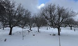 Aydın'ın yüksek kesimlerine kar yağdı