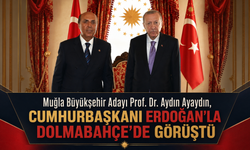 Aydın Ayaydın, Cumhurbaşkanı Erdoğan’la Dolmabahçe’de Görüştü