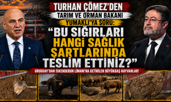 “BU SIĞIRLARI HANGİ SAĞLIK ŞARTLARINDA TESLİM ETTİNİZ?”