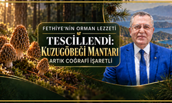 KUZUGÖBEĞİ MANTARI ARTIK COĞRAFİ İŞARETLİ