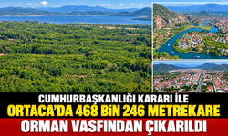 Ortaca’da 468 bin 246 Metrekare Orman Vasfından Çıkarıldı