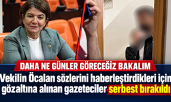 Vekilin Sözlerini Haberleştirdiler, Gece Yarısı Gözaltına Alındılar
