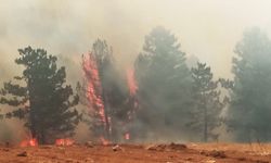 Muğla’da dört ilçede yangınlar devam ediyor