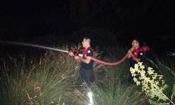 Köyceğiz’de sazlık yangını
