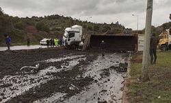 Gübre yüklü kamyon devrildi, karayolunda 10 kilometre araç kuyruğu oluştu