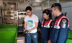 Yavru yeşil deniz kaplumbağası DEKAMER’de tedaviye alındı