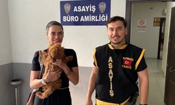 Tatildeki turistin kayıp köpeğini polis buldu