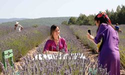 Muğla’nın ‘Mor’ bahçesine ziyaretçi akını