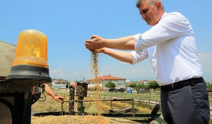 Göcük'te bu kez yem bitkisi yetişecek