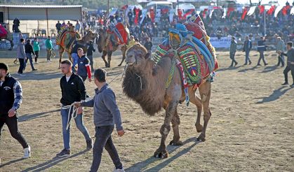 Muğla'da 24. Yatağan Deve Güreşi Festivali düzenlendi
