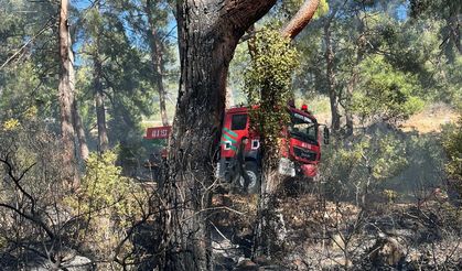 Muğla'da ormanlık alanda çıkan yangın söndürüldü