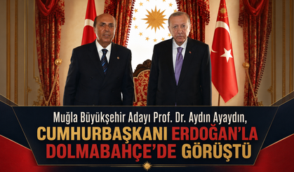 Aydın Ayaydın, Cumhurbaşkanı Erdoğan’la Dolmabahçe’de Görüştü