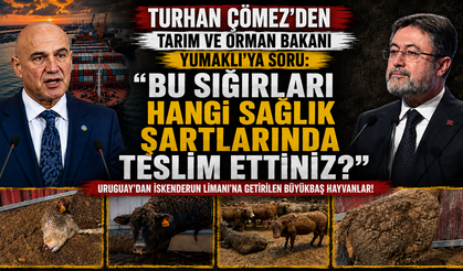 “BU SIĞIRLARI HANGİ SAĞLIK ŞARTLARINDA TESLİM ETTİNİZ?”