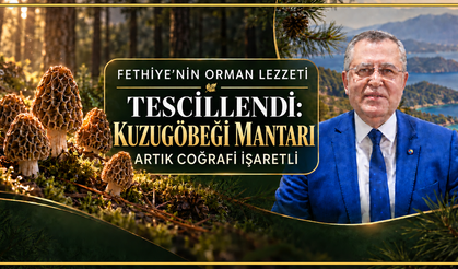 KUZUGÖBEĞİ MANTARI ARTIK COĞRAFİ İŞARETLİ