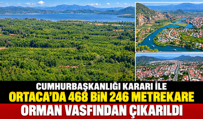 Ortaca’da 468 bin 246 Metrekare Orman Vasfından Çıkarıldı