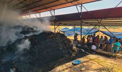 Ahır yangınında zarar büyük