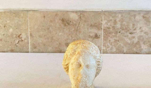 Aydın'da kaçak kazı operasyonunda 2 bin yıllık heykel başı ele geçirildi