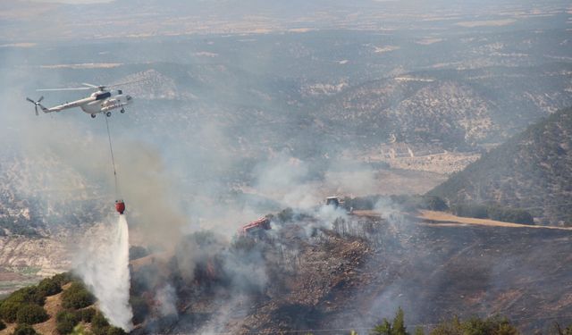 Denizli'de zirai ve makilik alanda etkili olan yangın söndürüldü