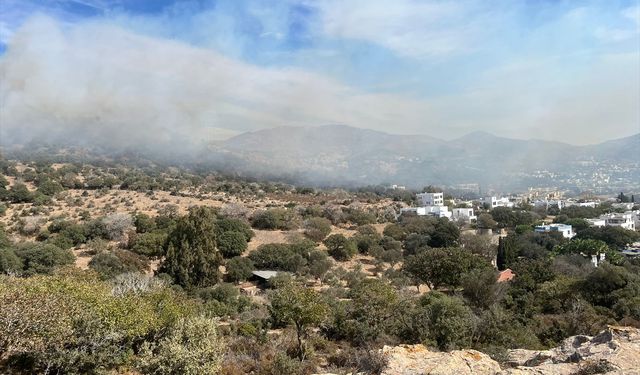 Bodrum'da çıkan yangında 5 hektar makilik zarar gördü