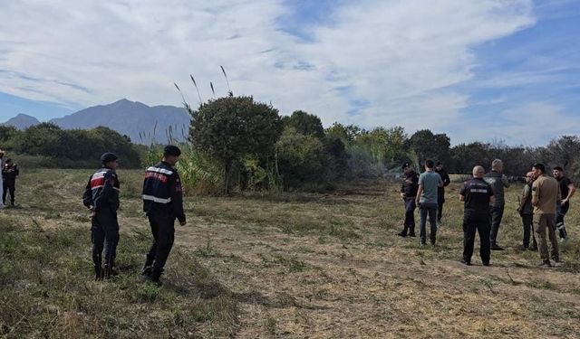 Datça'da tarım alanında çıkan yangın söndürüldü