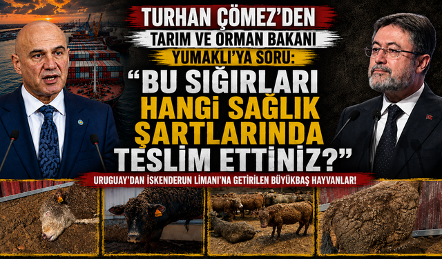 “BU SIĞIRLARI HANGİ SAĞLIK ŞARTLARINDA TESLİM ETTİNİZ?”