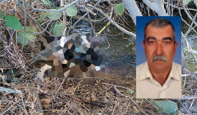 Eve gelmeyince arama çalışması başlatılmıştı, arıkta cansız bedeni bulundu