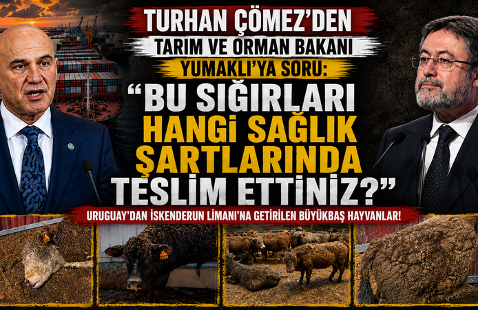“BU SIĞIRLARI HANGİ SAĞLIK ŞARTLARINDA TESLİM ETTİNİZ?”