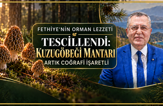 KUZUGÖBEĞİ MANTARI ARTIK COĞRAFİ İŞARETLİ