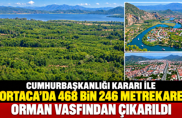 Ortaca’da 468 bin 246 Metrekare Orman Vasfından Çıkarıldı