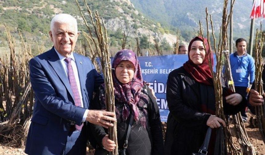 Muğla Büyükşehir Belediyesi çiftçiye fidan desteği