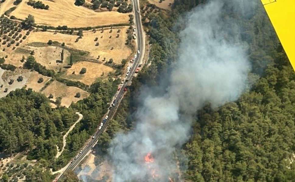 Milas'da orman yangını çıktı