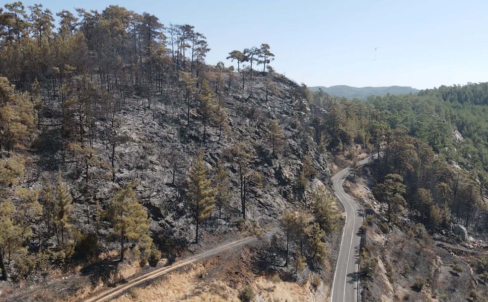 Muğla'da çıkan orman yangınına müdahale sürüyor