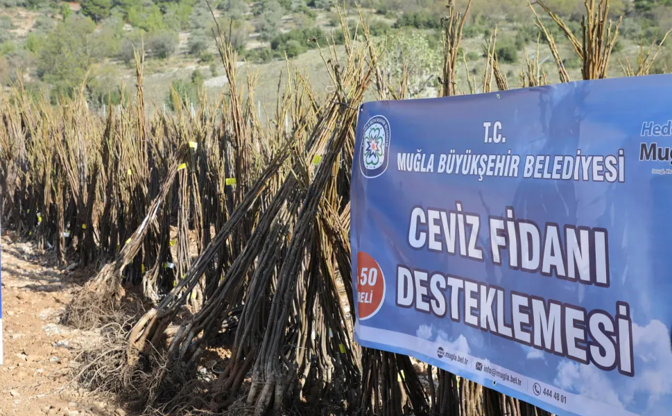 Muğla'da her kapıda bir fidan!