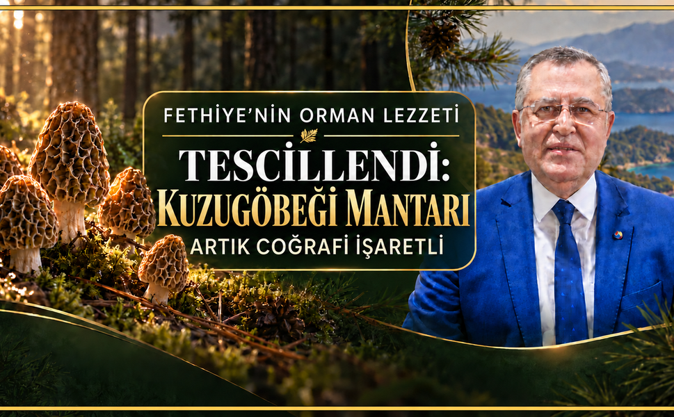 KUZUGÖBEĞİ MANTARI ARTIK COĞRAFİ İŞARETLİ