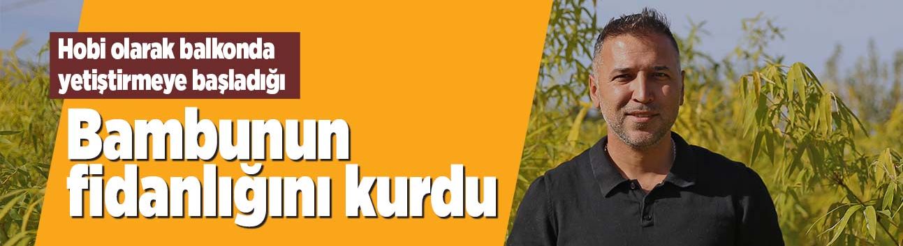 Hobi olarak yetiştirmeye başladığı bambunun fidanlığını kurdu